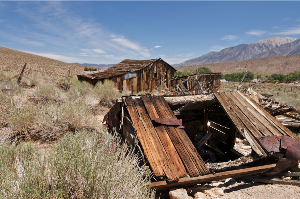 stacks_image_D023C19E-CA19-460D-A6D6-15F73A937F25