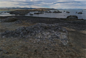 stacks_image_B351A039-FD57-4AD5-B2DD-58ABE0BC91BE