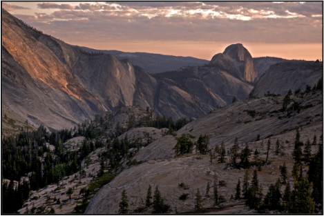 Pine Patch Horseshoe Bend