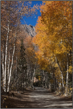 stacks_image_4E053F78-03F2-4FE5-B8D6-5871B35F24EE